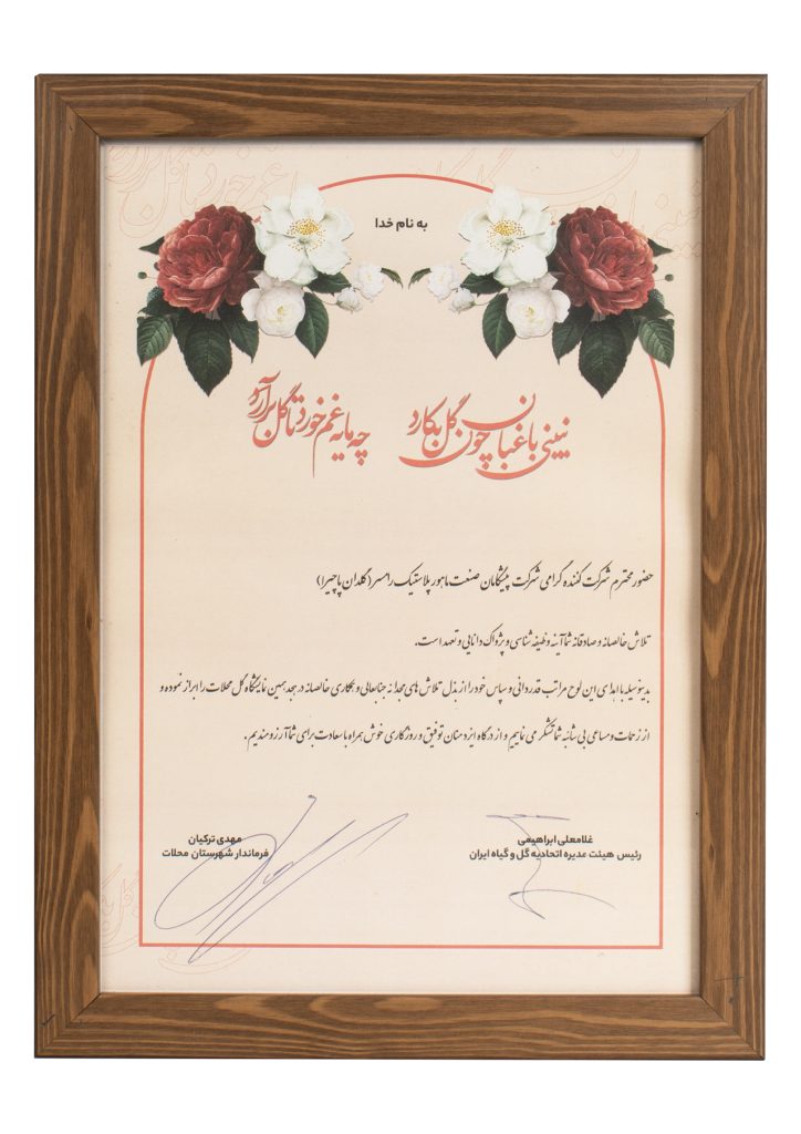 گلدان پلاستیکی پاچیرا