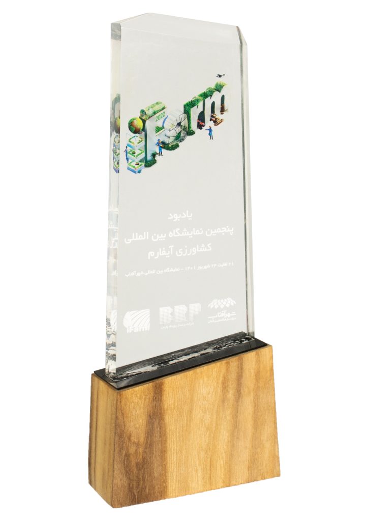 گلدان پلاستیکی پاچیرا