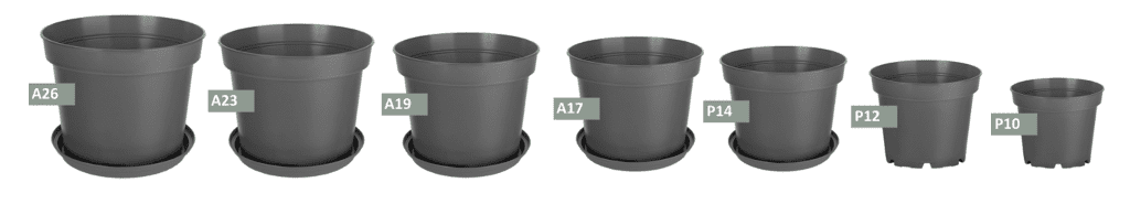 گلدان پلاستیکی پاچیرا