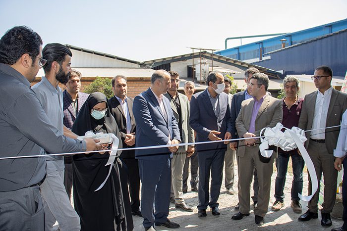 گلدان پلاستیکی پاچیرا