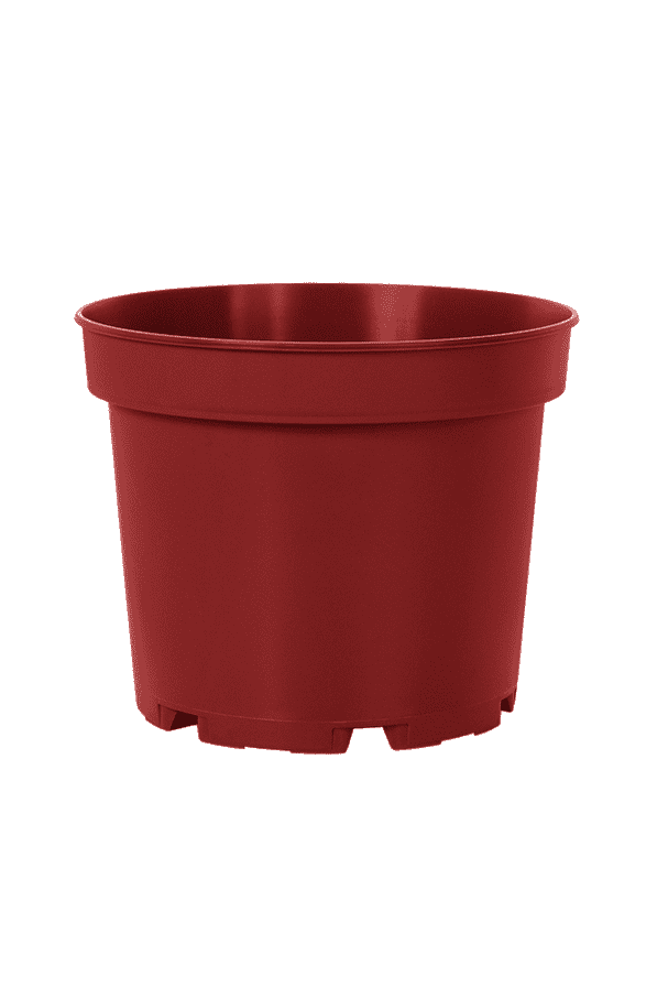 گلدان پلاستیکی پاچیرا